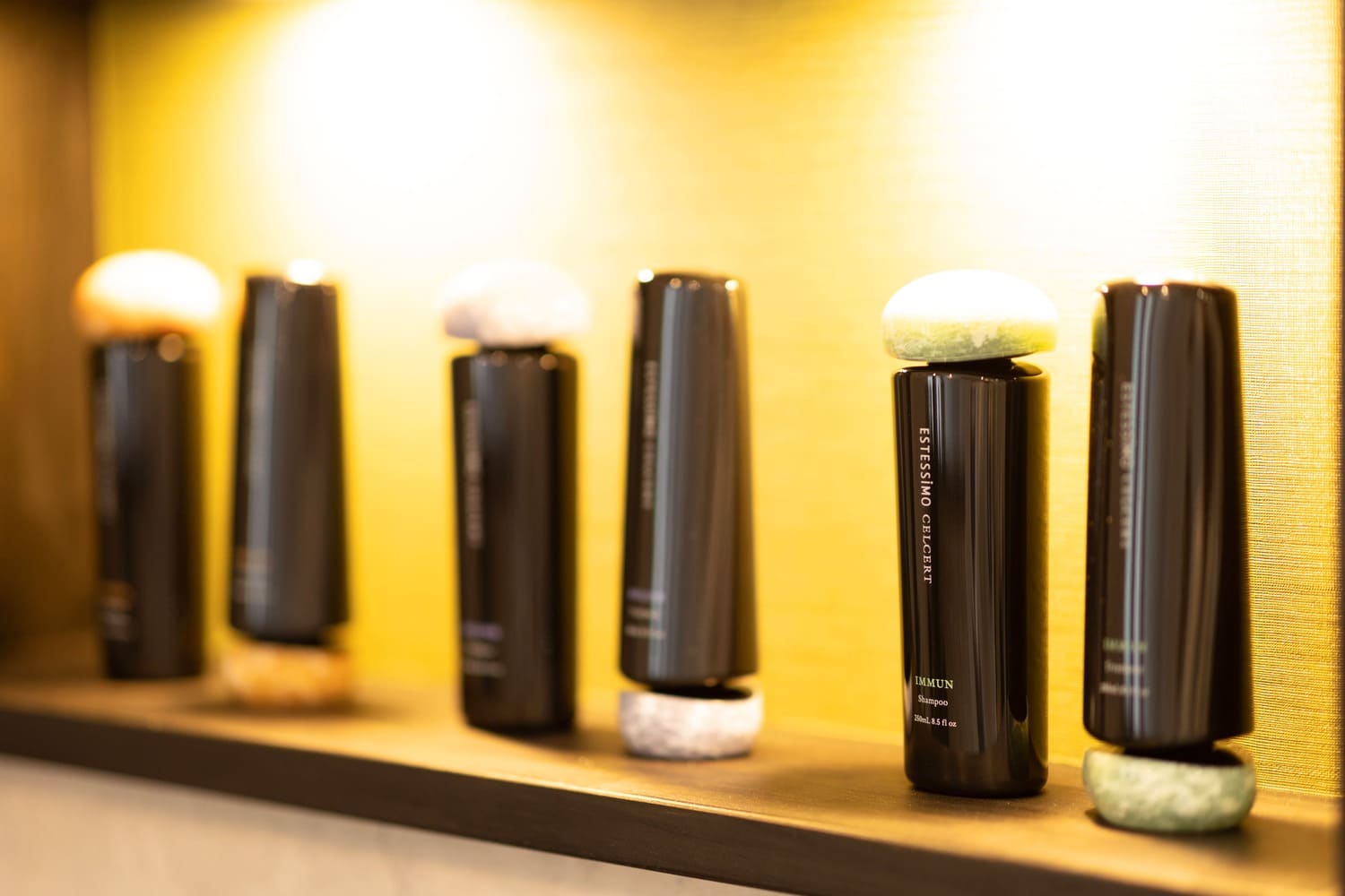 シャンプーの写真